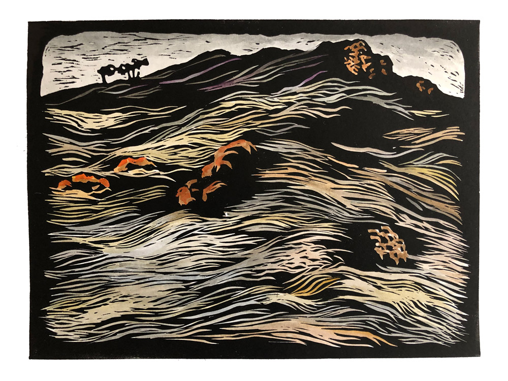 Landscape1