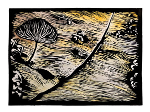 Arid Divide