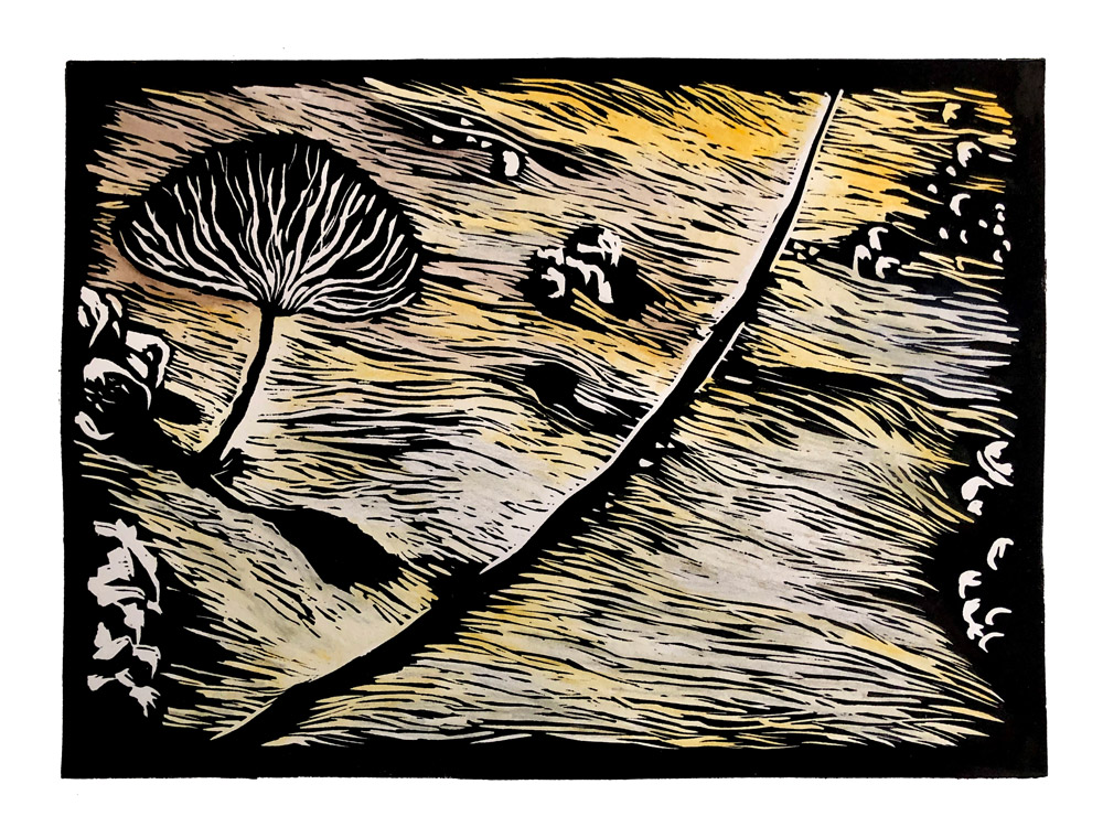 handcoloured linoprint 'Arid Divide'