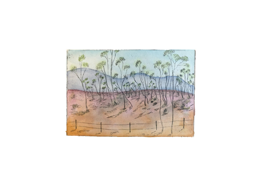 Wayback Etch Colour 2