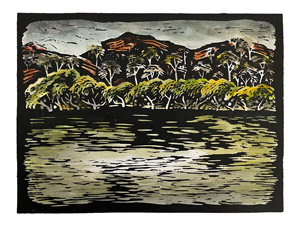 Patonga